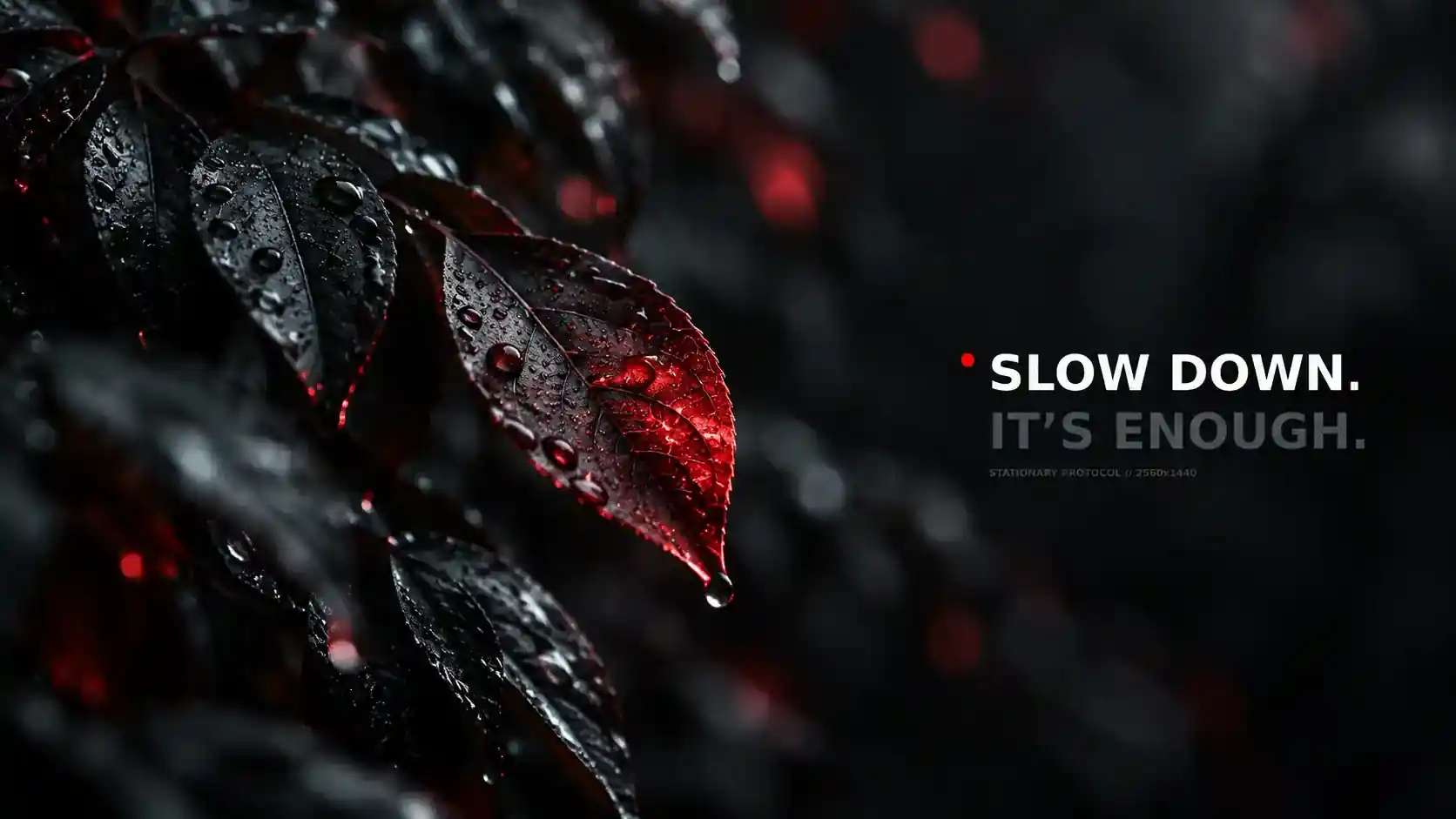 Slow Down wallpaper 8